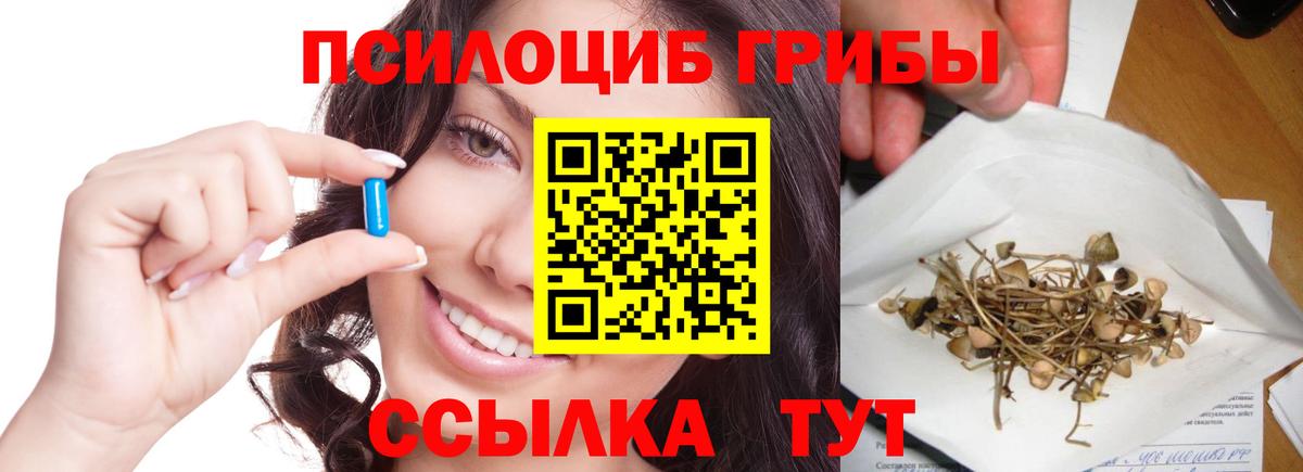 Галлюциногенные грибы GOLDEN TEACHER  Вход с VPN  Реж 